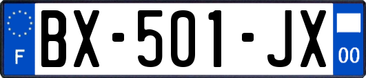 BX-501-JX