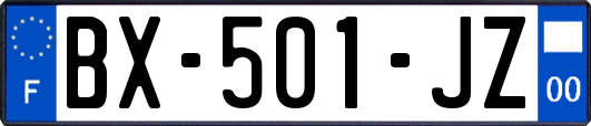 BX-501-JZ