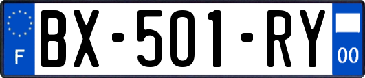 BX-501-RY