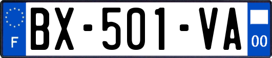 BX-501-VA