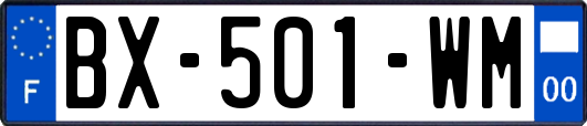 BX-501-WM