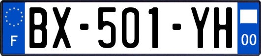 BX-501-YH