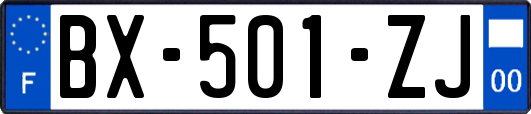 BX-501-ZJ