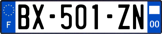 BX-501-ZN