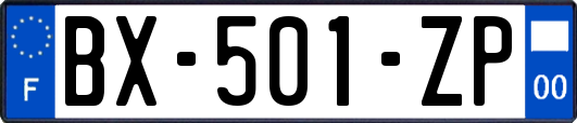 BX-501-ZP