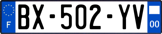 BX-502-YV