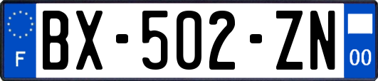 BX-502-ZN