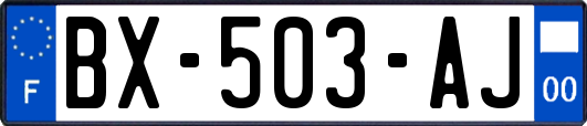 BX-503-AJ