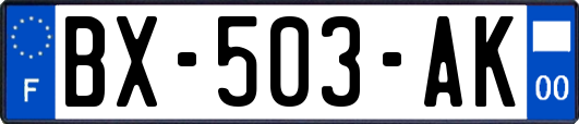 BX-503-AK