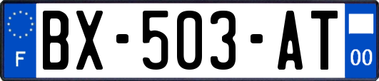 BX-503-AT