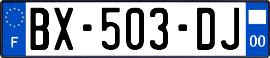 BX-503-DJ