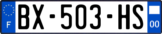 BX-503-HS