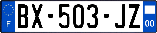 BX-503-JZ