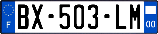 BX-503-LM