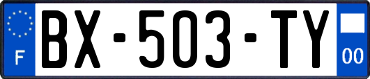 BX-503-TY