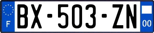 BX-503-ZN