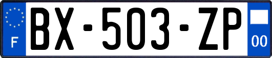 BX-503-ZP