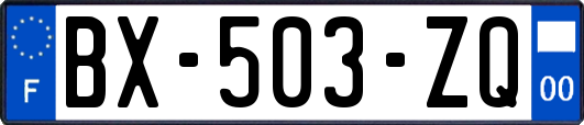 BX-503-ZQ