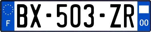 BX-503-ZR