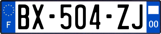 BX-504-ZJ