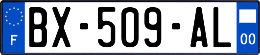 BX-509-AL