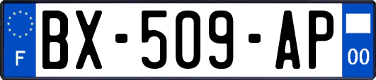 BX-509-AP