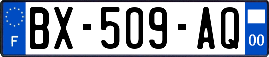 BX-509-AQ