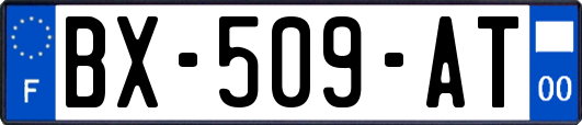 BX-509-AT