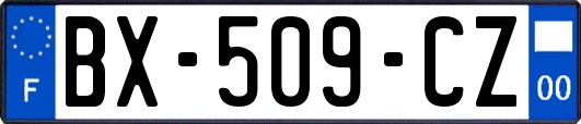 BX-509-CZ