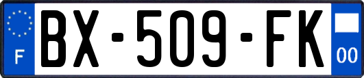 BX-509-FK