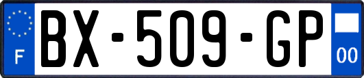 BX-509-GP