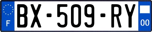 BX-509-RY