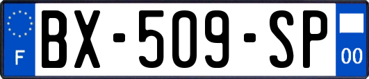 BX-509-SP