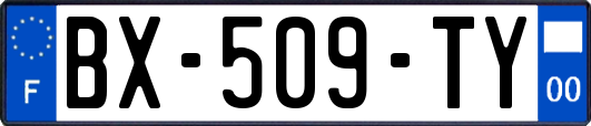 BX-509-TY