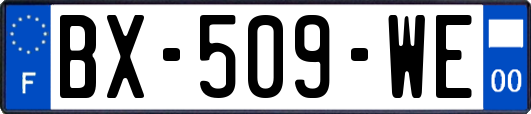 BX-509-WE