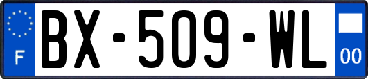 BX-509-WL