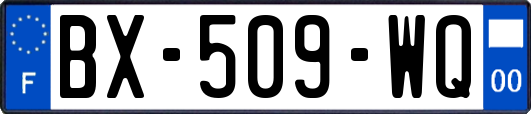 BX-509-WQ