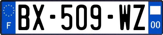 BX-509-WZ