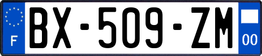 BX-509-ZM