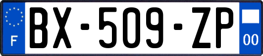 BX-509-ZP