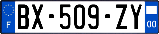 BX-509-ZY