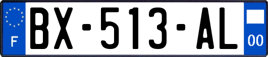 BX-513-AL