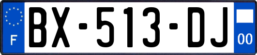 BX-513-DJ