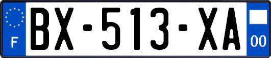 BX-513-XA