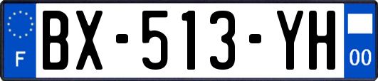 BX-513-YH