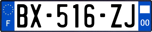 BX-516-ZJ