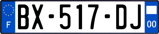 BX-517-DJ