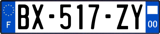 BX-517-ZY