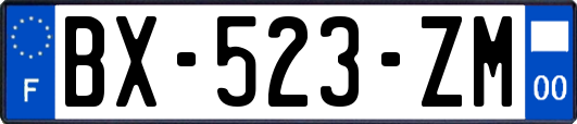 BX-523-ZM