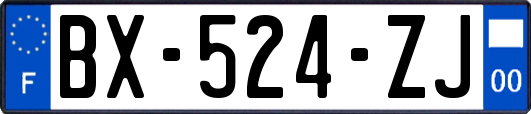 BX-524-ZJ